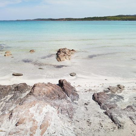 Willa Ampio Trilocale Sul Golfo Di Marinella Marinella  Zewnętrze zdjęcie
